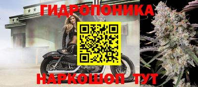 стафф Рыбинск