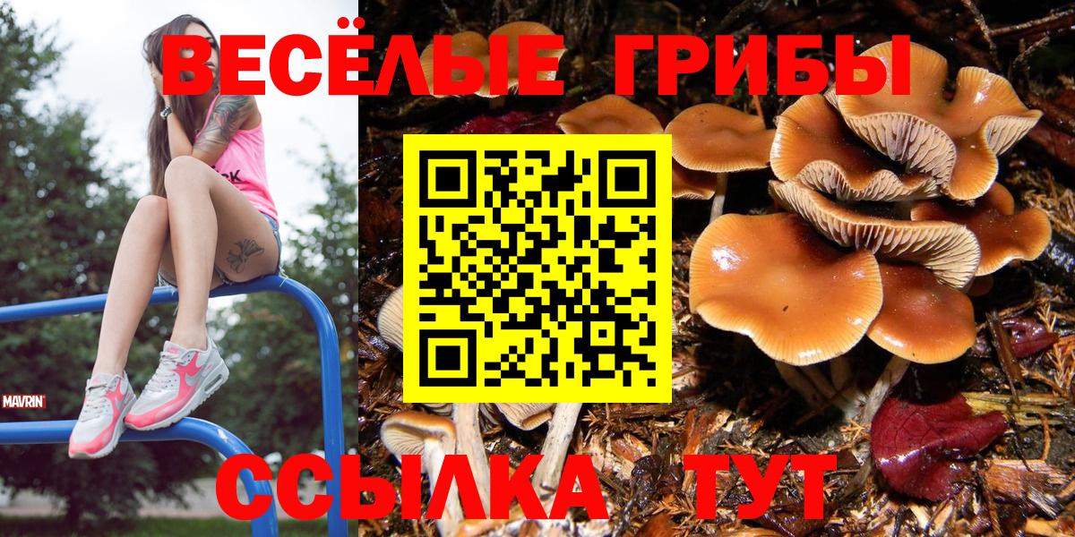 Псилоцибиновые грибы GOLDEN TEACHER Новозыбков