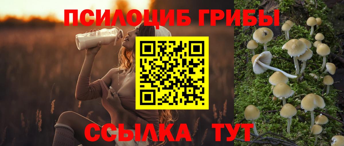 Меф кристаллы  Канабис  Вход с VPN  ГАШ  Кодеин  Новозыбков  Гашиш 